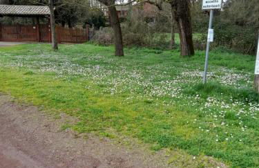 alloggio turistico olmata - Foto 24