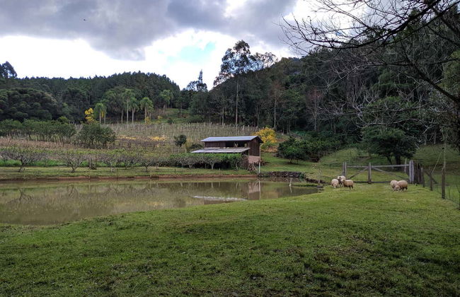 Tour por el Valle del Quilombo - Foto 2