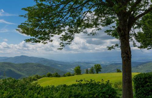 Agriturismo Casapasserini - Foto 17