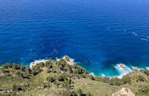 Sweet William - Foto 34