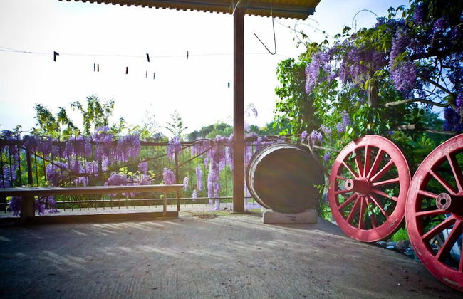 Agriturismo Cognanello - Photo 27