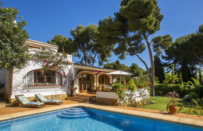 Mirlo Canta - Foto 23