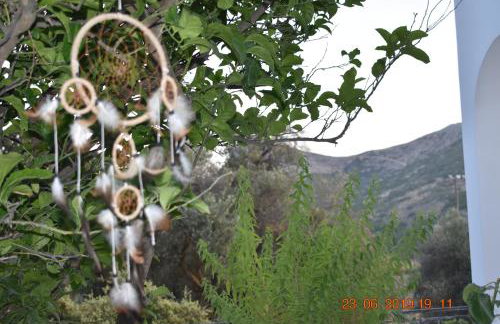 Dreamcatcher of Zeus - Foto 38