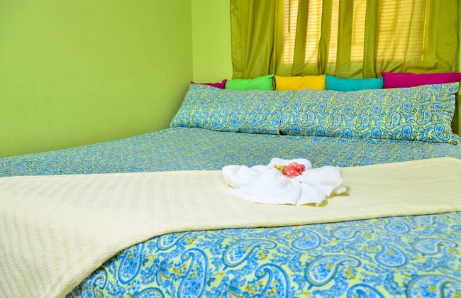 Kingston Sunset Guest Apartment II - Photo 42