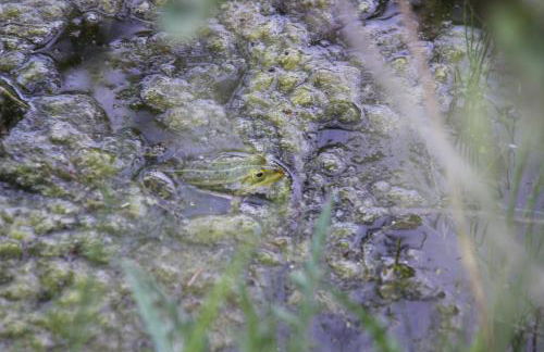 Ferien im Bomlitztal - Foto 43