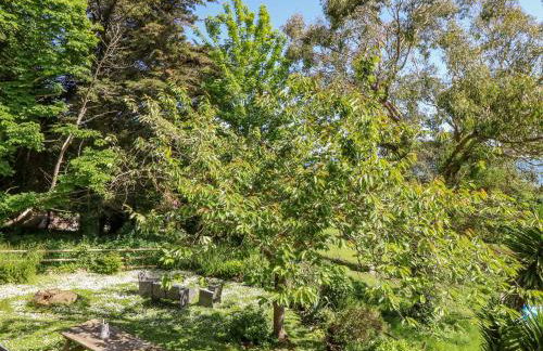 Lisle Combe Cottage - Photo 33