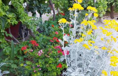 Apartments Jeličić - Foto 64