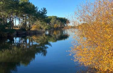 Maison Hourtin - Foto 13