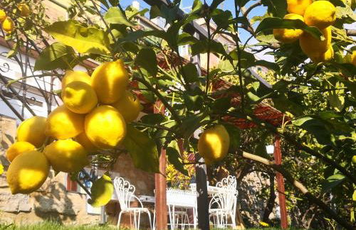 Florinda Lemon's Suite - Foto 28