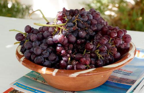 Aeolos Apartments - Photo 9