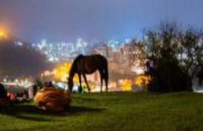 Cabana Deck 3 - Rota Serra do Rio do Rastro - Foto 7