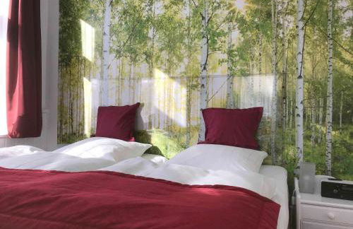 Henne Hahnenklee - Foto 1