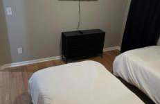 Nexton Nest - Foto 15