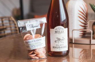 Les cigognes gites de la reserve - Foto 12