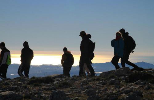 Alojamientos Rurales Cortijo Las Golondrinas - Foto 62