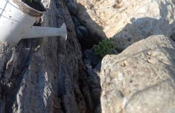 Nostalgico cottage - Photo 17