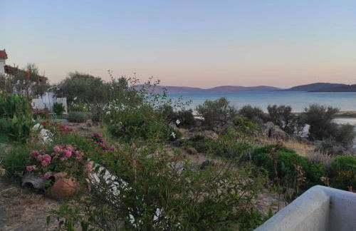 ''Koukmos beach'' Greenspace Living - Private sandy beach - Foto 51