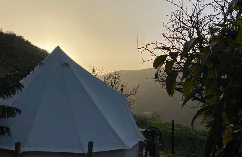 Angel Caves Farmstay - Foto 5