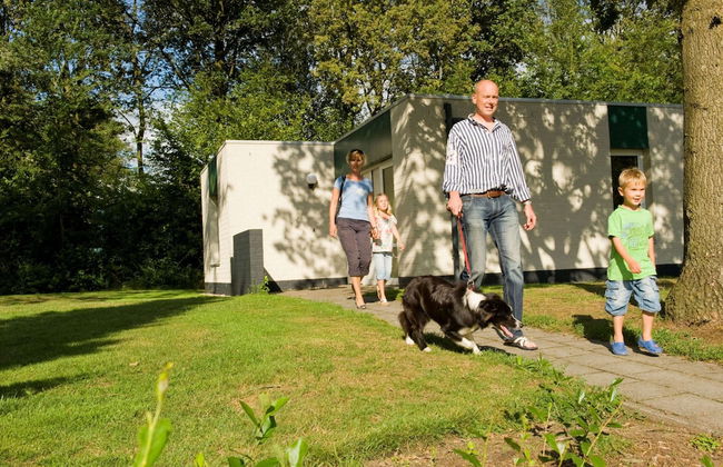 Forest Trails & Swimming Fun - Foto 29