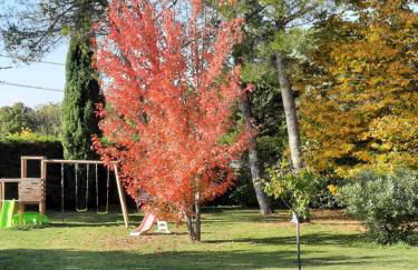 Gîte Ma Vie Là 3 étoiles, jacuzzi, animaux acceptés - Foto 48