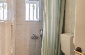 Ioulis Century Home - Photo 60