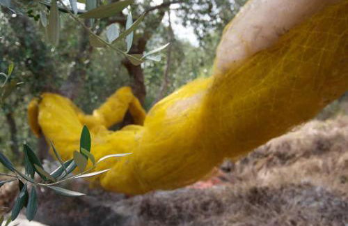 Ferienhaus in Vasia Imperia für bis zu 4 Personen - Foto 11
