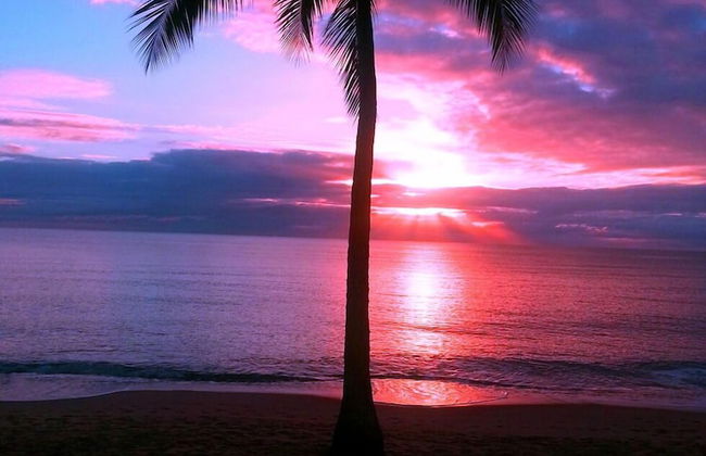 Clifton Sands Holiday Apartments - Foto 29