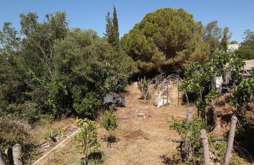 JB - Monte João Moleiro With Shared Pull - Photo 74