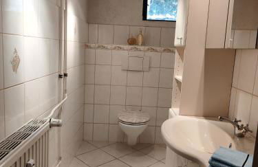 ansimali 2 - Apartment mit Wohn- und Schlafraum, integrierter Küchenzeile, separater Dusche und WC - ideal für Alleinreisende und Monteure am Spiegelwald - Foto 5