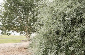 LakEscape - Waterfront Self- Catering Cabins - Foto 46