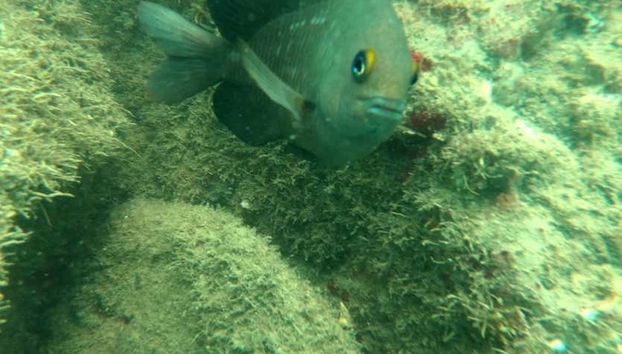 Bombinhas Day Trip - Foto 5