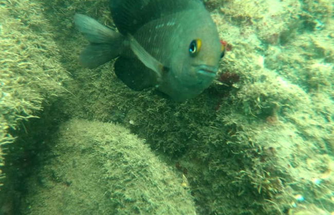 Bombinhas Day Trip - Photo 5