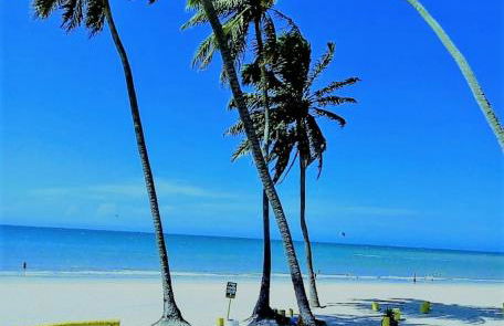 CUMBUCO - Eco Paradise - AP 112 - Rezende temporada - Photo 80