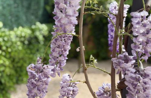 BAKEA Apto con jardín privado - Foto 15