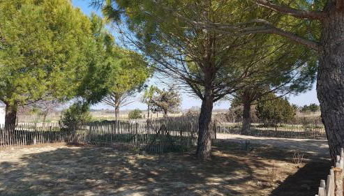 Domaine de L'Outarde Canepetiére Gîte A - Foto 3