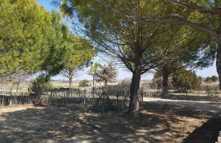 Domaine de L'Outarde Canepetiére Gîte A - Foto 3