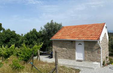 Casa de Pedra em Vinha no Dão - Foto 8