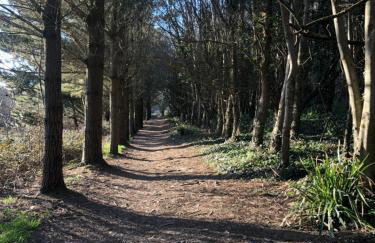 Mawgan Stays Mawgan Porth - Foto 26