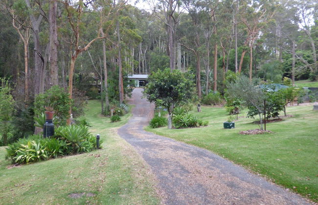 Werekataba - Foto 13