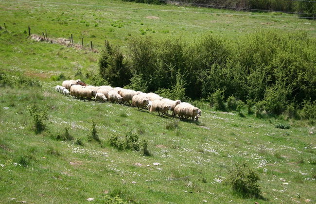 Farmhouse Near Lake Trasimeno With Pool - Foto 30
