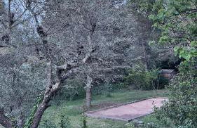 Nouveauté Villa pour 10 Personnes avec Piscine, Pétanque au Coeur des Oliviers de Provence - Foto 46