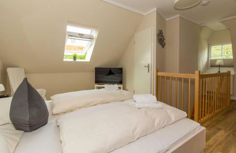 Nachtkerze - Foto 10