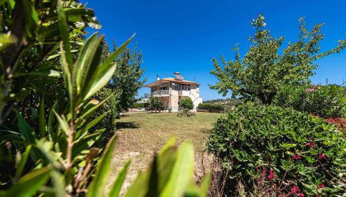 Alexandra's garden - Foto 3