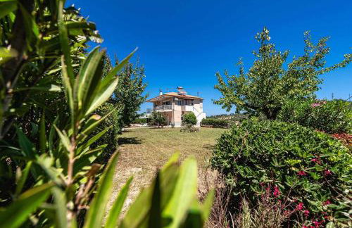 Alexandra's garden - Photo 3