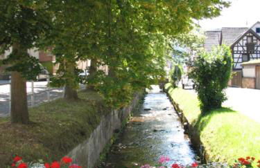 Alte Schmiede - Foto 18