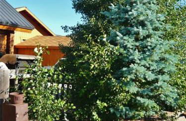 Cozy Immaculate Cabin - Peaceful Retreat! - Foto 17