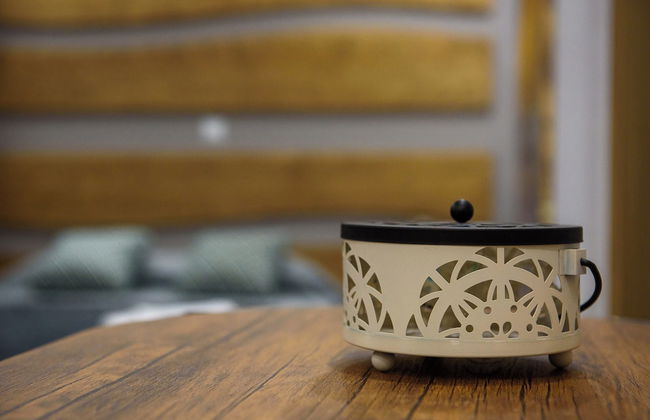 Artemissoula - Foto 18