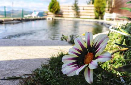 Fisgas Cabana - Foto 36