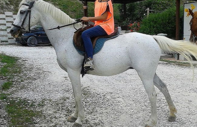 Agriturismo Il Casale - Photo 32