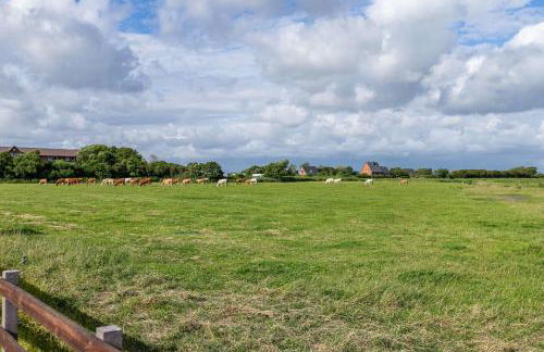 Atlanta Pur - Foto 13